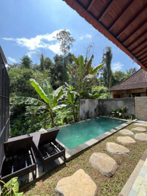 Pis Bolong House
